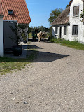 Imagen Krogbækgaard Læsø