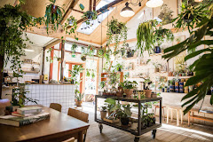 Imagen Plantecaféen