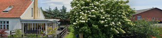 Imagen madhytten.dk