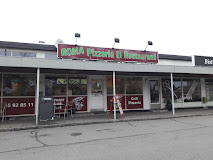 Imagen Roma Pizzeria