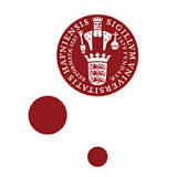 Imagen Datalogisk Institut