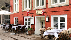 Imagen Amalie