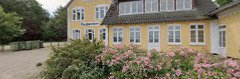 Imagen Den Gyldne Løve