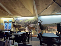 Imagen Nygaards Afrika