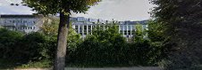 Imagen Rødder ved Pladefabrikken