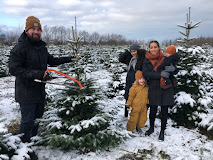 Imagen Kærehave Skov - Fæld selv juletræer
