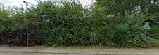 Imagen Østfjendshallen